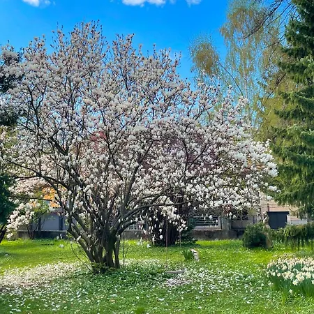 דירה Pipa's Place - Stylish Garden Prime Location