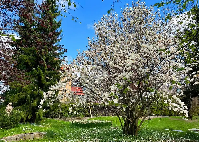 Apartment Pipa's Place - Stylish Garden Prime Location