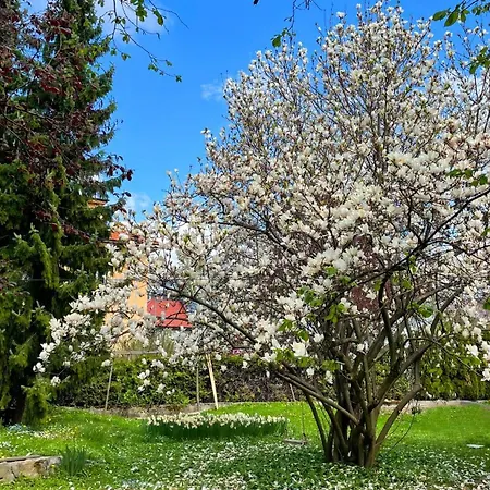 Appartamento Pipa's Place - Stylish Garden Prime Location