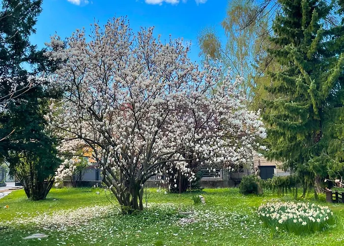 Apartmán Pipa's Place - Stylish Garden Prime Location